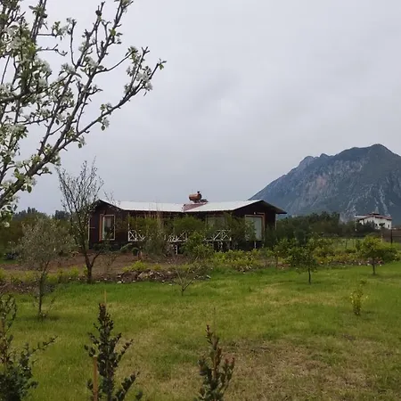 Вилла Nar Чирали